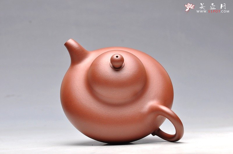 紫砂壶图片：秀气可人 体态丰润 尹君峰壬辰年新品 全手华颖 - 宜兴紫砂壶网