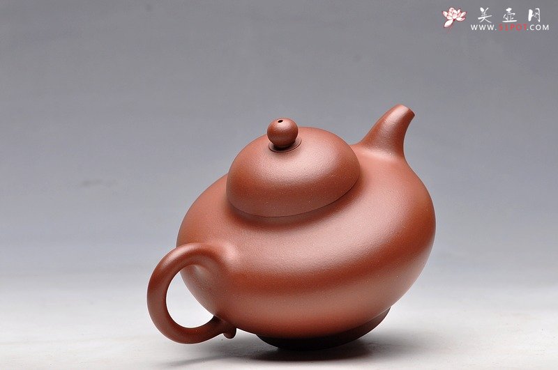 紫砂壶图片：秀气可人 体态丰润 尹君峰壬辰年新品 全手华颖 - 宜兴紫砂壶网