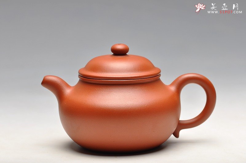 紫砂壶图片：珠圆玉润 体态丰盈 全手朱泥莲子 - 宜兴紫砂壶网