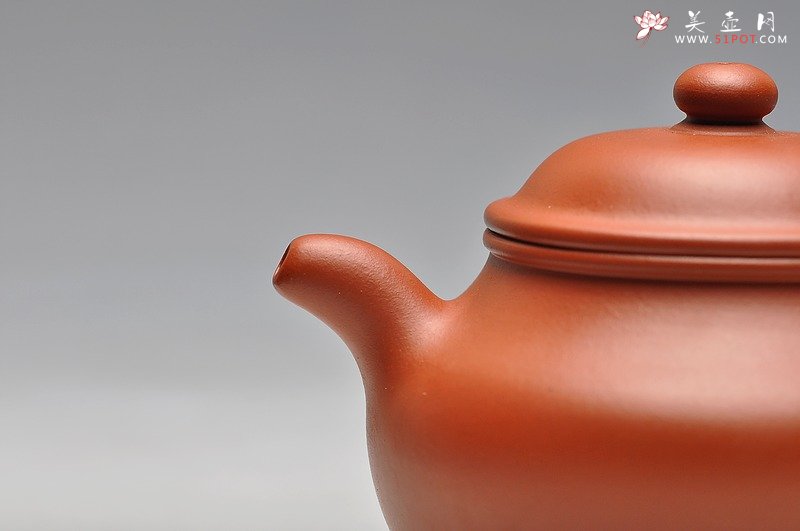 紫砂壶图片：珠圆玉润 体态丰盈 全手朱泥莲子 - 宜兴紫砂壶网