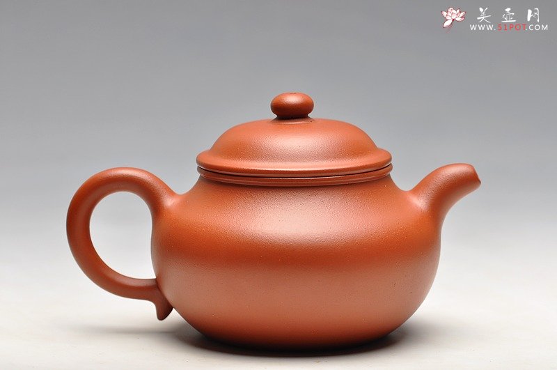 紫砂壶图片：珠圆玉润 体态丰盈 全手朱泥莲子 - 宜兴紫砂壶网