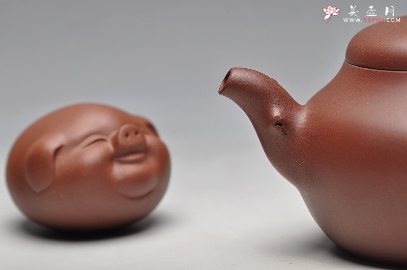 紫砂壶图片：扁福猪集锦~~ 漂亮可爱 憨 - 宜兴紫砂壶网