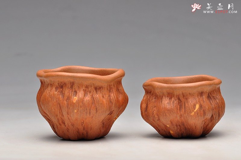 紫砂壶图片：红段泥 莲蓬杯 最新 - 宜兴紫砂壶网