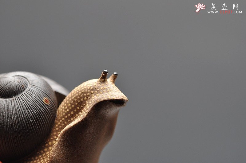 紫砂壶图片：做工精细  精品蜗牛茶宠 - 宜兴紫砂壶网