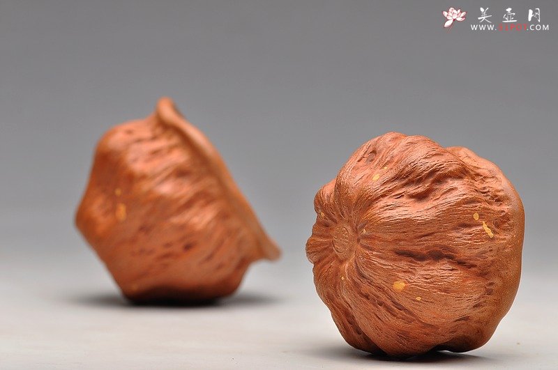 紫砂壶图片：红段泥 莲蓬杯 最新 - 宜兴紫砂壶网