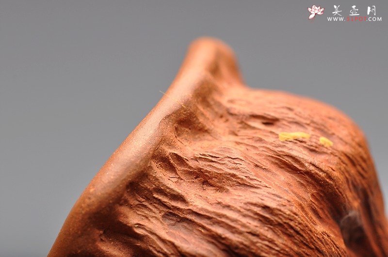 紫砂壶图片：红段泥 莲蓬杯 最新 - 宜兴紫砂壶网