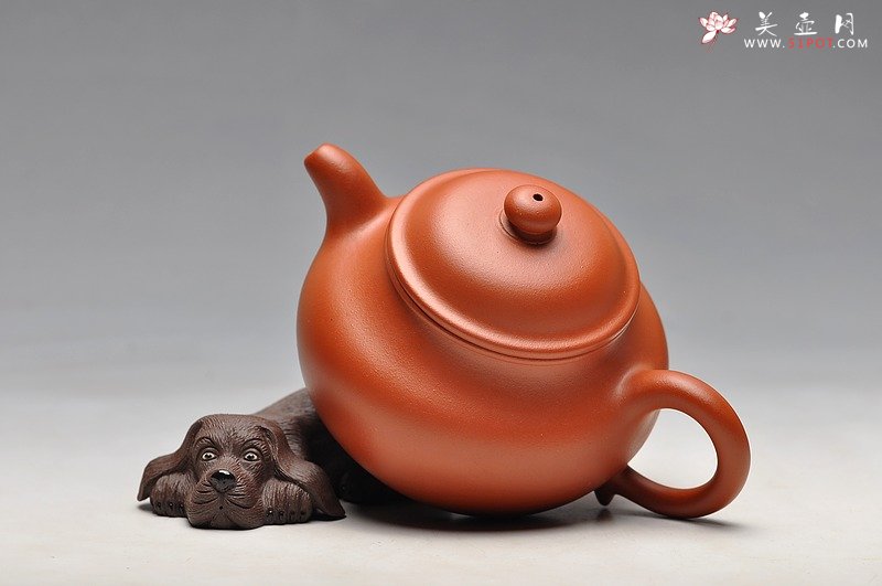 紫砂壶图片：珠圆玉润 体态丰盈 全手朱泥莲子 - 宜兴紫砂壶网