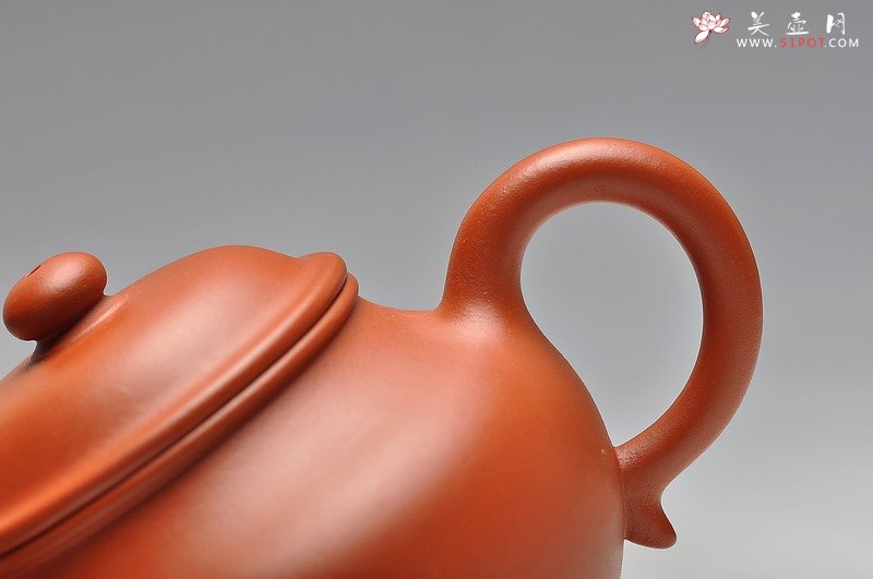 紫砂壶图片：珠圆玉润 体态丰盈 全手朱泥莲子 - 宜兴紫砂壶网