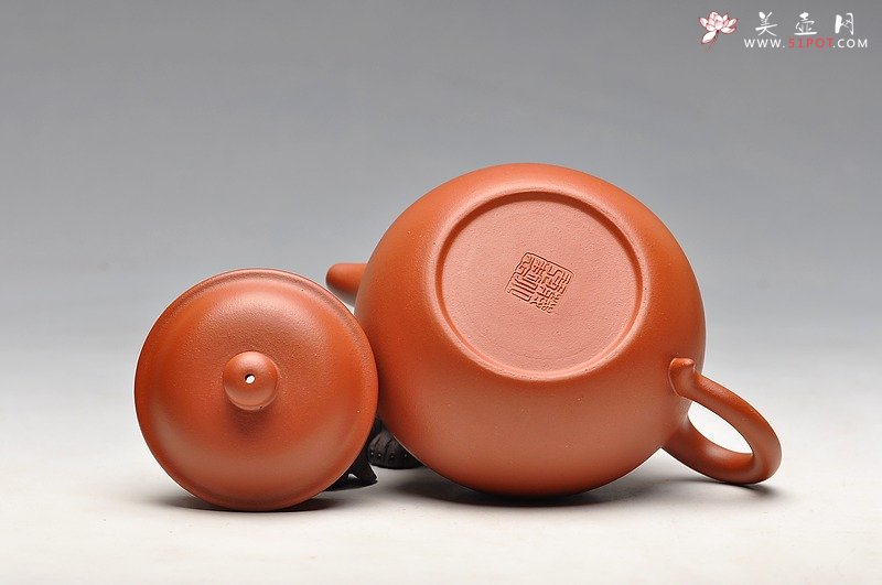 紫砂壶图片：珠圆玉润 体态丰盈 全手朱泥莲子 - 宜兴紫砂壶网