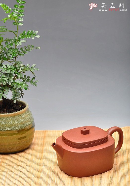 紫砂壶图片：亦圆亦方 平盖腰圆  质朴无华 老青水泥 - 宜兴紫砂壶网