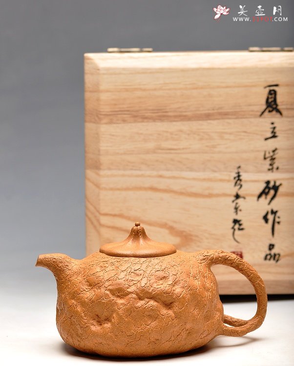 紫砂壶图片：夏立 壬辰年新作 瓜纽龚春 - 宜兴紫砂壶网