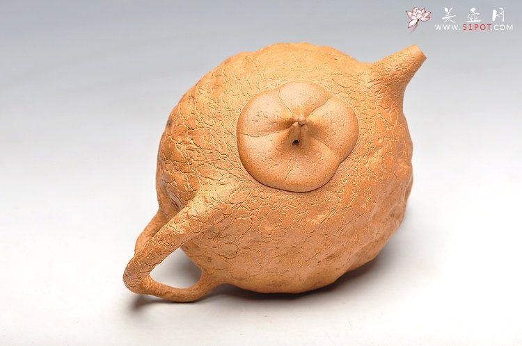 紫砂壶图片：夏立 壬辰年新作 瓜纽龚春 - 宜兴紫砂壶网