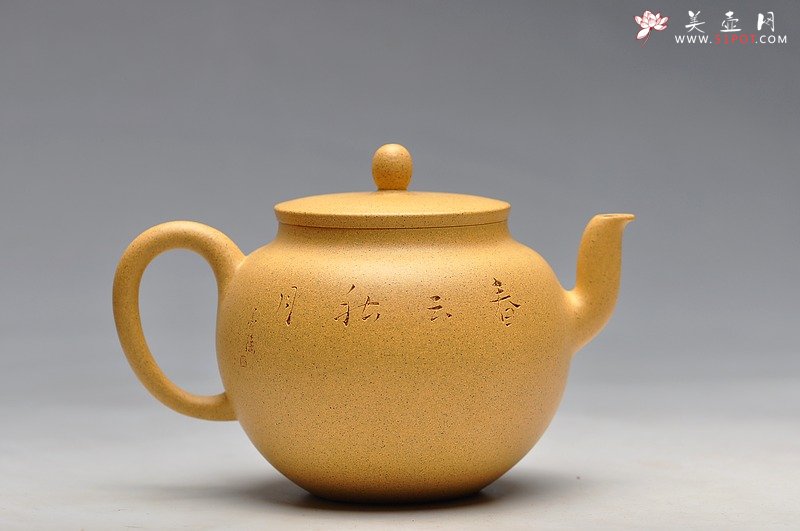 紫砂壶图片：线条流畅 挺拔优雅 全手迎春 墨陶装饰王翔鸟 - 宜兴紫砂壶网