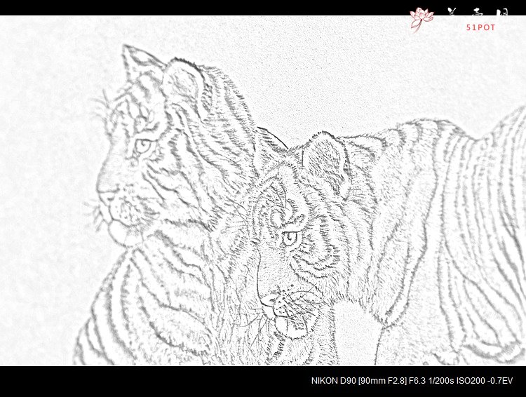 紫砂壶图片：虽是幼虎，然有兽王之气  有骨有肉 朱牧清两只老虎 40cm - 宜兴紫砂壶网