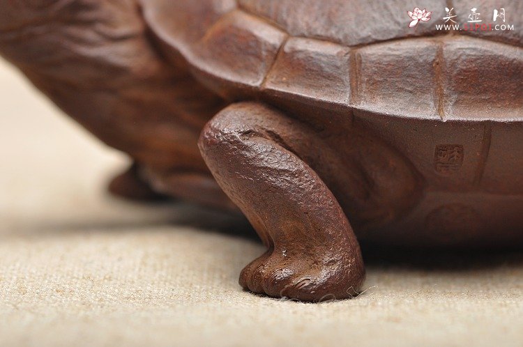 紫砂壶图片：全手工仿生雕塑 孙金立 寿龟  - 宜兴紫砂壶网