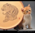 紫砂壶图片：【预定】威风凛凛 兽中之王 老虎 30cm - 宜兴紫砂壶网