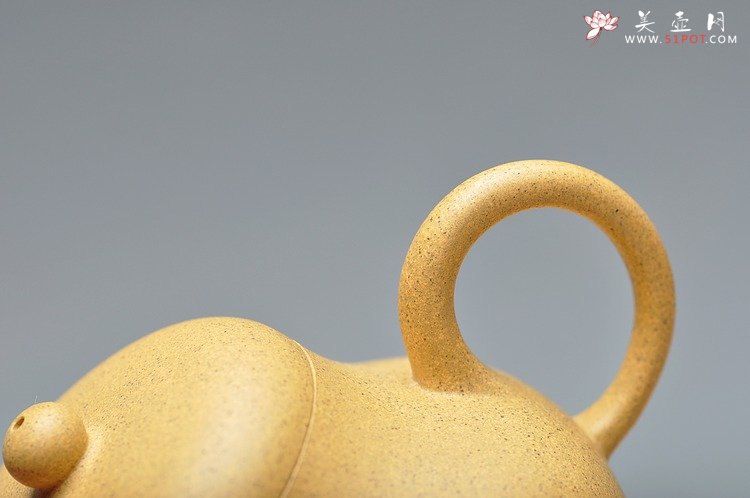 紫砂壶图片：尹君峰新品 本山段全手小君德 秀色可人 - 宜兴紫砂壶网