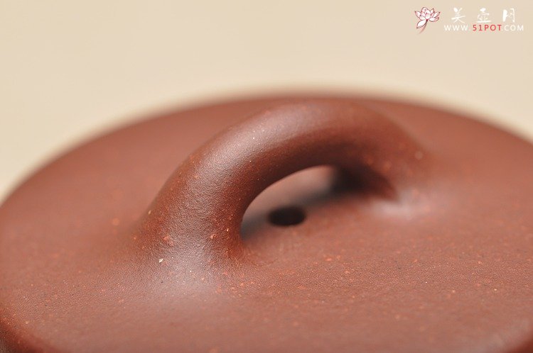 紫砂壶图片：石瓢主义 舒展文气 优质底槽青 全手子冶石瓢 - 宜兴紫砂壶网