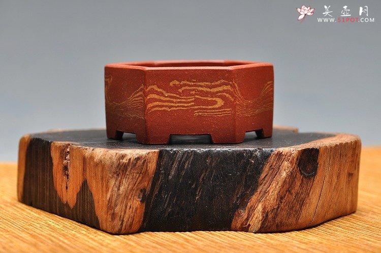 紫砂壶图片：团购  全手胶泥微型花盆 漂亮好玩 - 宜兴紫砂壶网