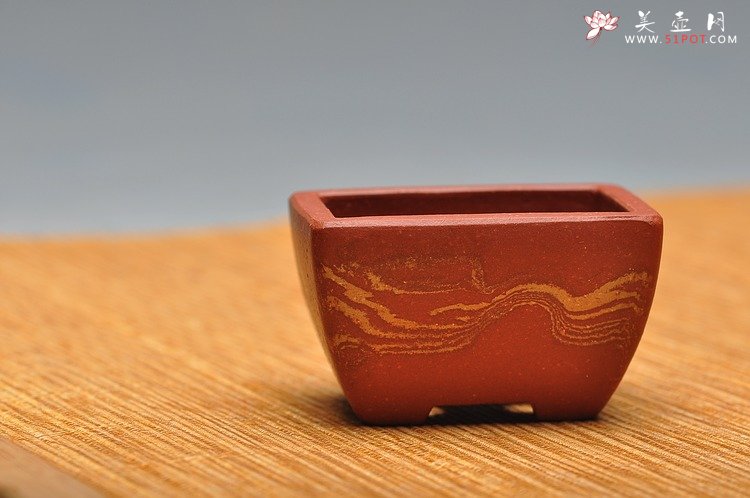 紫砂壶图片：团购  全手胶泥微型花盆 漂亮好玩 - 宜兴紫砂壶网