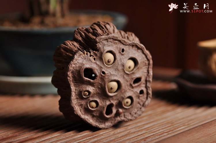 紫砂壶图片：《心心相莲》第三代作品——枯莲蓬茶宠 段泥 - 宜兴紫砂壶网