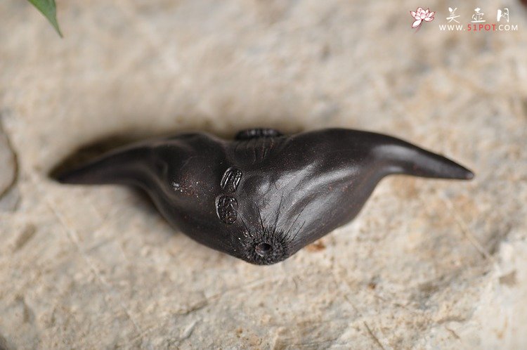 紫砂壶图片：精致版 菱角 逼真细腻 - 宜兴紫砂壶网