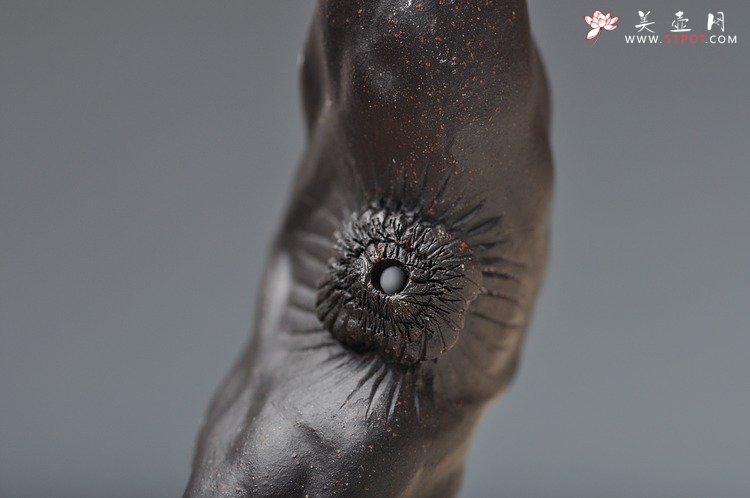 紫砂壶图片：精致版 菱角 逼真细腻 - 宜兴紫砂壶网