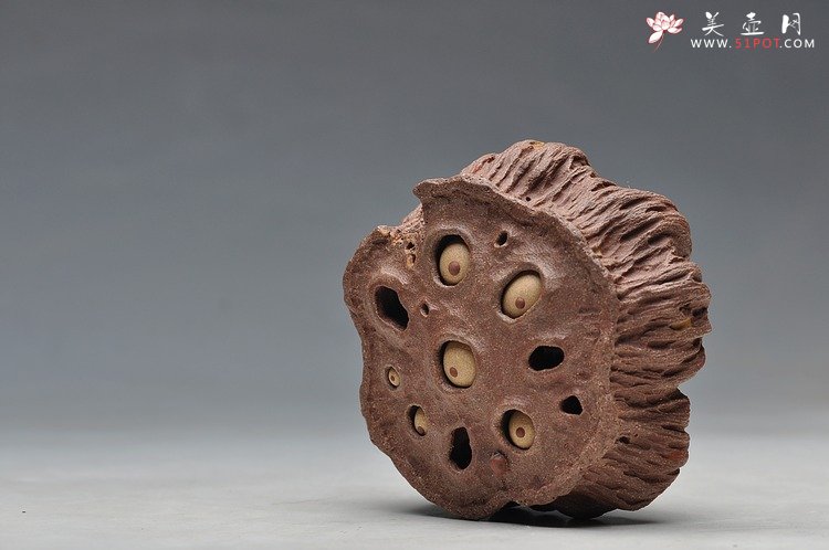 紫砂壶图片：《心心相莲》第三代作品——枯莲蓬茶宠 段泥 - 宜兴紫砂壶网