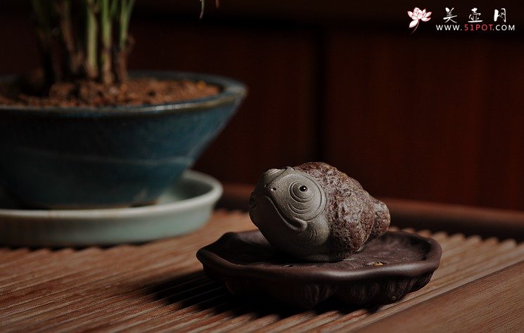 紫砂壶图片：憨态可掬 意趣之五彩金蟾 青灰段 - 宜兴紫砂壶网