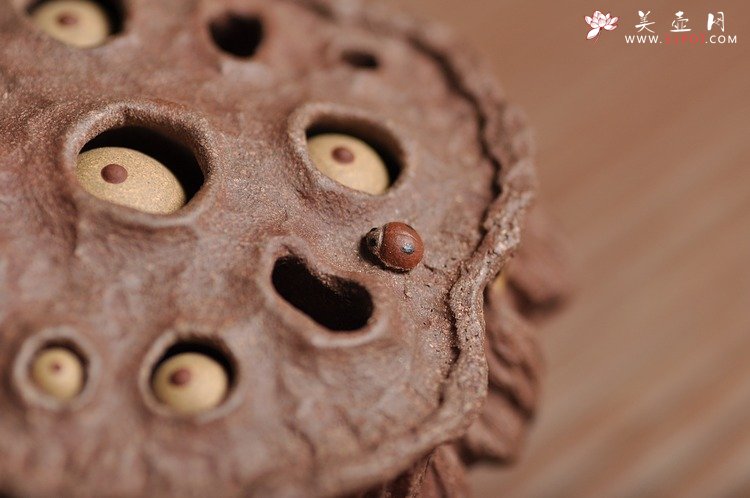 紫砂壶图片：《心心相莲》第三代作品——枯莲蓬茶宠 段泥 - 宜兴紫砂壶网