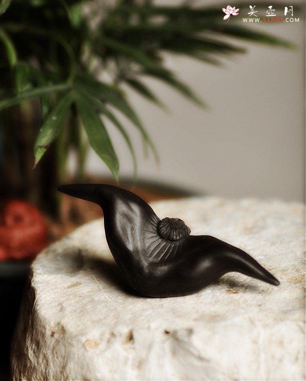 紫砂壶图片：精致版 菱角 逼真细腻 - 宜兴紫砂壶网