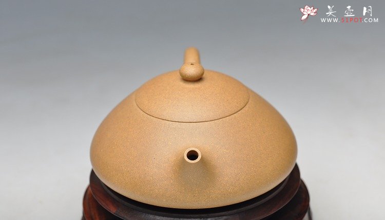 紫砂壶图片： 文人风韵 西施瓢 - 宜兴紫砂壶网