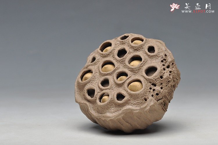 紫砂壶图片：文雅茶宠 手工精制 可看细节 精品 经典莲蓬 - 宜兴紫砂壶网