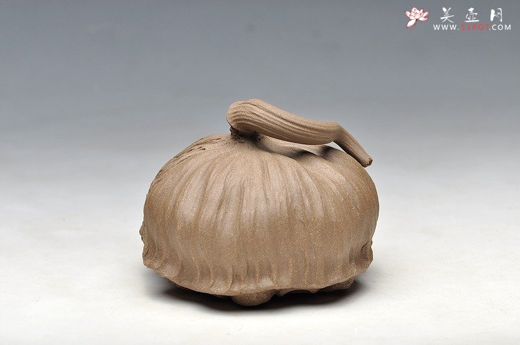 紫砂壶图片：文雅茶宠 手工精制 可看细节 精品 经典莲蓬 - 宜兴紫砂壶网