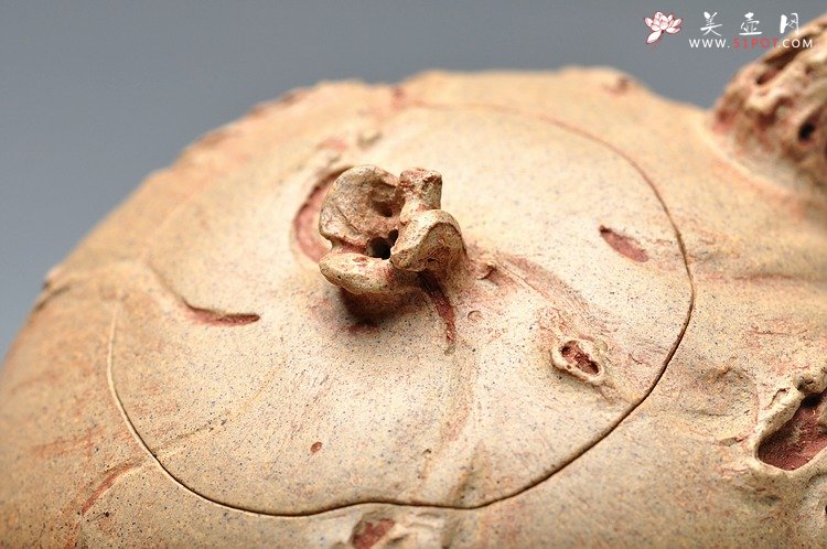 紫砂壶图片：实力派 全手木语 - 宜兴紫砂壶网