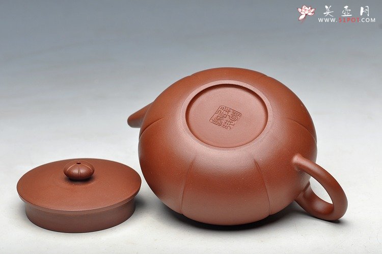 紫砂壶图片：灵气 薄胎实力 秋意 浓浓 - 宜兴紫砂壶网