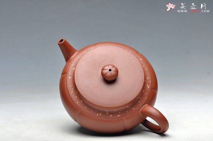 紫砂壶图片：灵气 薄胎实力 秋意 浓浓 - 宜兴紫砂壶网