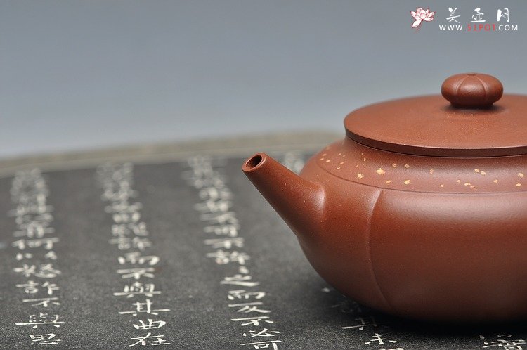 紫砂壶图片：灵气 薄胎实力 秋意 浓浓 - 宜兴紫砂壶网