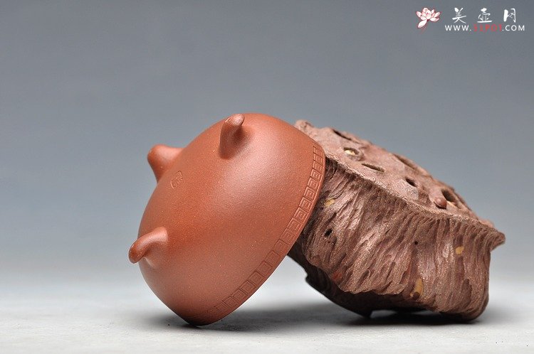 紫砂壶图片： - 宜兴紫砂壶网