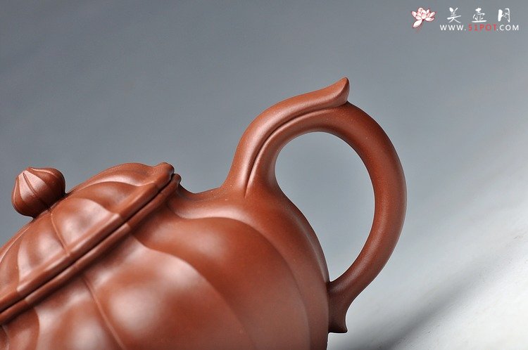 紫砂壶图片：线条流畅 清美之作 筋纹笑樱 - 宜兴紫砂壶网