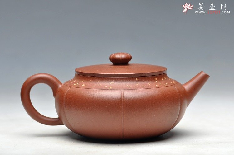 紫砂壶图片：灵气 薄胎实力 秋意 浓浓 - 宜兴紫砂壶网