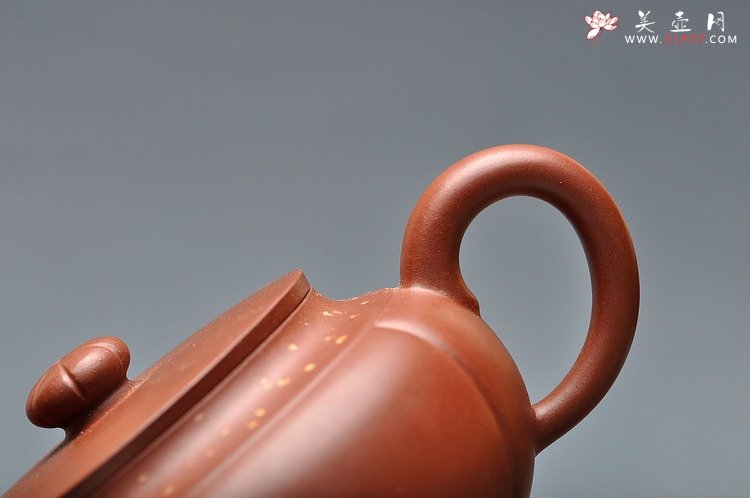 紫砂壶图片：灵气 薄胎实力 秋意 浓浓 - 宜兴紫砂壶网