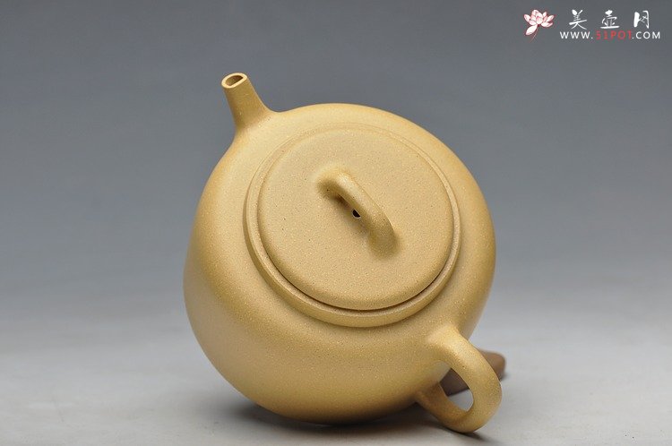 紫砂壶图片：矫健有力 素雅简练  全手井泉 - 宜兴紫砂壶网