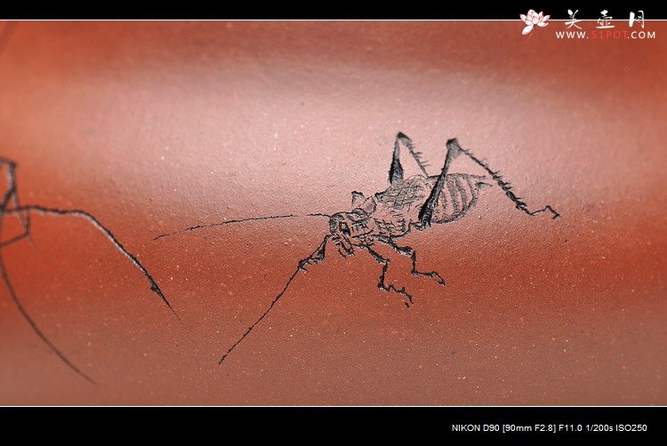 紫砂壶图片：造型简洁明快 线条流畅 极品老清水 葫芦 - 宜兴紫砂壶网