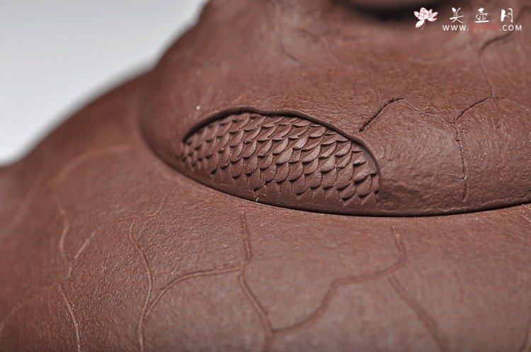 紫砂壶图片：藏龙龚春  双节特惠 送礼佳品 - 宜兴紫砂壶网