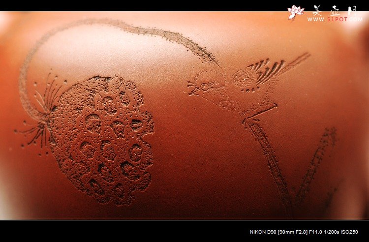 紫砂壶图片：莲蓬鸟之秋水 婉约风韵 亭亭玉立 - 宜兴紫砂壶网