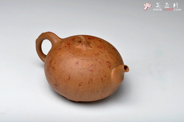 紫砂壶图片：蔡岩峰蜕变之作 新意心意 首创 全手野趣 - 宜兴紫砂壶网