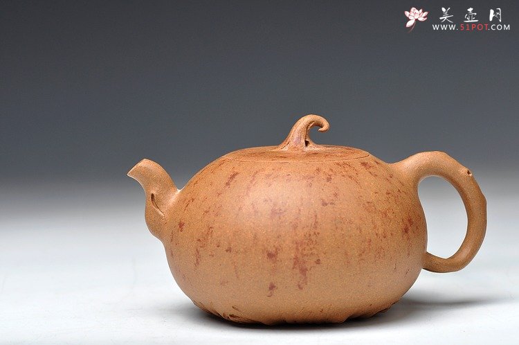 紫砂壶图片：蔡岩峰蜕变之作 新意心意 首创 全手野趣 - 宜兴紫砂壶网