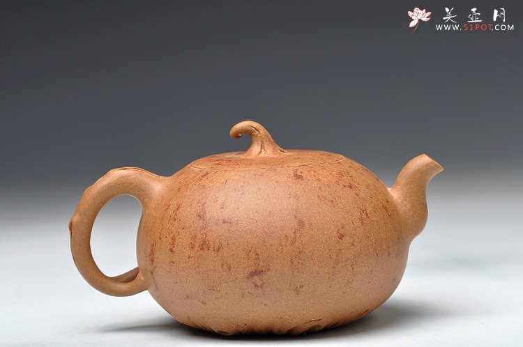 紫砂壶图片：蔡岩峰蜕变之作 新意心意 首创 全手野趣 - 宜兴紫砂壶网