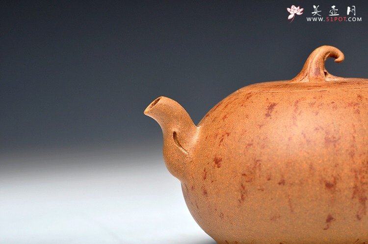 紫砂壶图片：蔡岩峰蜕变之作 新意心意 首创 全手野趣 - 宜兴紫砂壶网